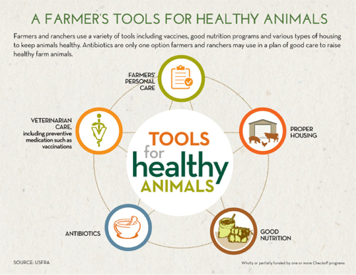 animal welfare graphic on tools farmers use to keep turkeys healthy 