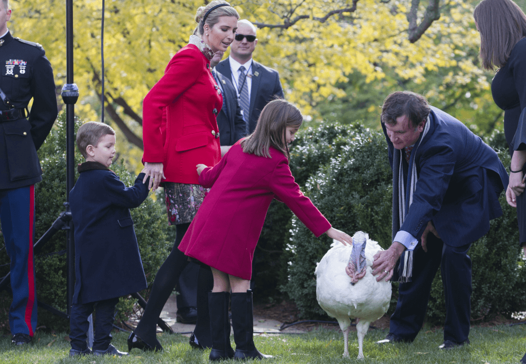 Ivanka Trump an children pet the National Thanksgiving Turkey