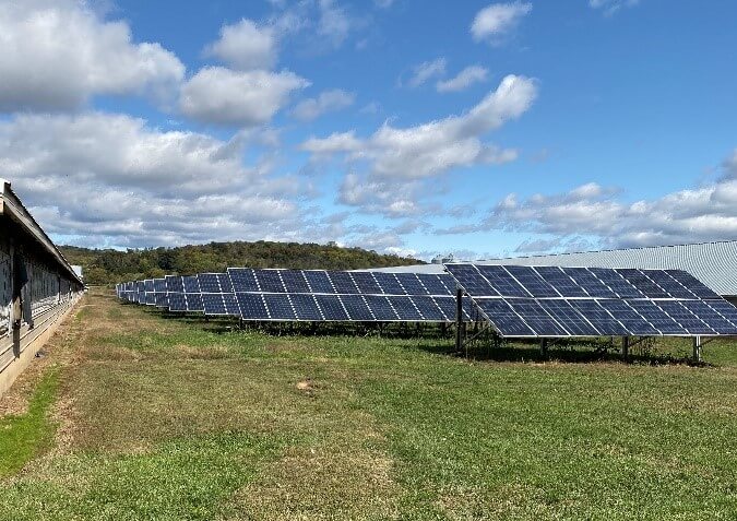Solar panels on a turkey farm 