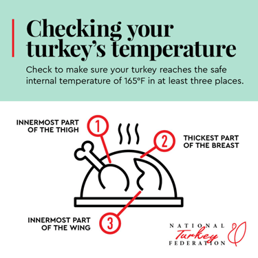 checking your turkey's temperature