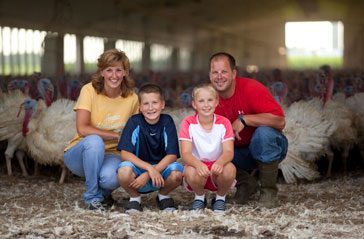 NTF member raising turkeys inside a turkey barn 