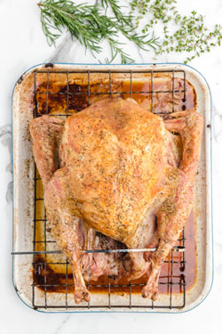 Roast turkey in the convection oven