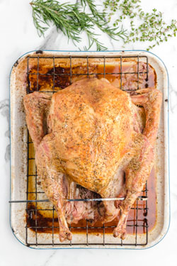 Convection Oven Turkey {Regular Oven Conversion}