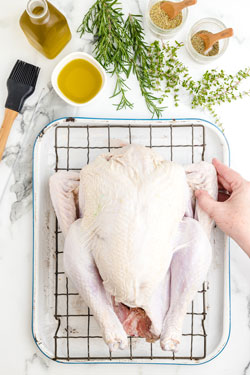 raw turkey on roasting pan rack