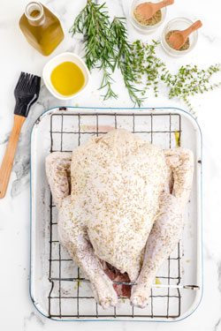 raw turkey with spices on roasting pan rack