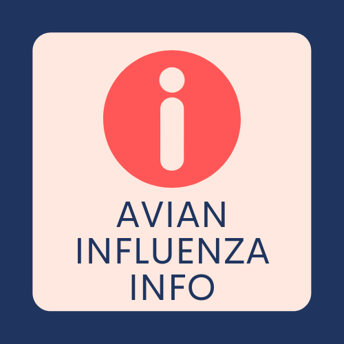 avian influenza info